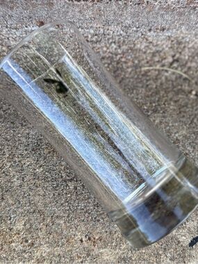 Unbranded Highball Glass with Bunny Logo. Men’s Gift